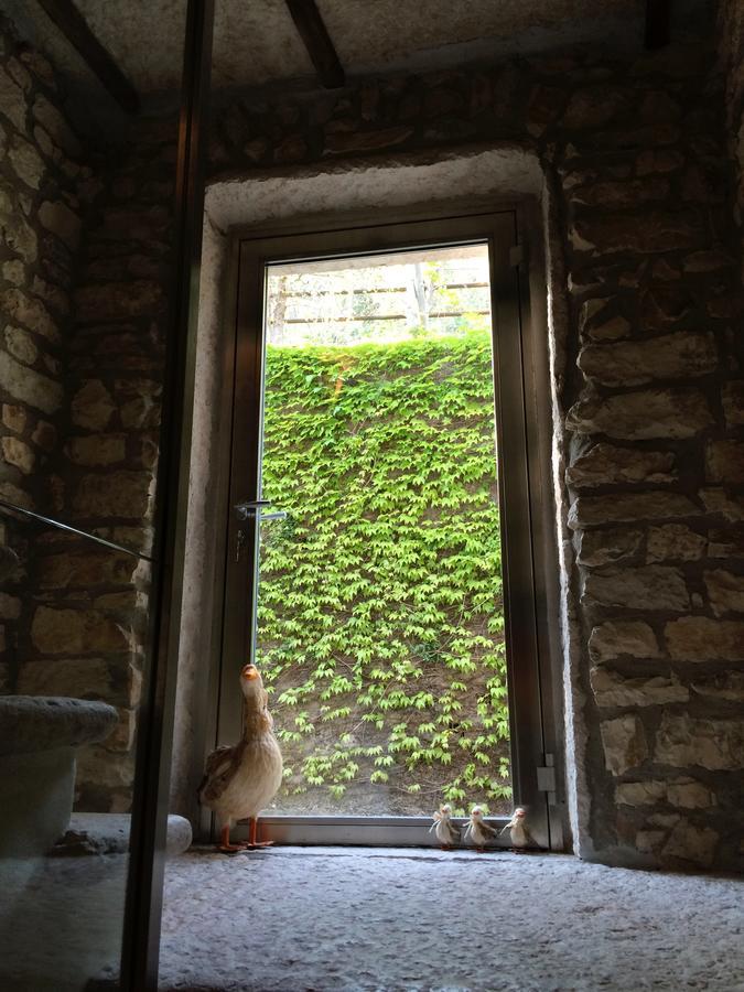 Dormire Alla Ruota Negrar Dış mekan fotoğraf